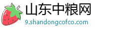 山东中粮网